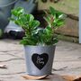Personalised 10th Anniversary Heart Planter Gift, thumbnail 1 of 8