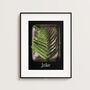 Personalised Ferns | Little Things In Tins Botanical Nursery Art, thumbnail 1 of 3