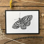 U Is For Uncompaghre Butterfly Illustration Print, thumbnail 3 of 6
