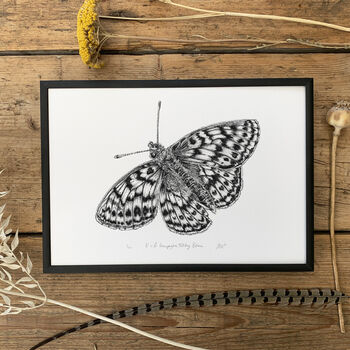U Is For Uncompaghre Butterfly Illustration Print, 3 of 6