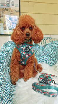 Jolly Bear Christmas Dog Collar, 8 of 8