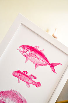 Framed Vintage Pink Fish Illustration Print, 6 of 6