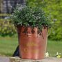 Personalised Vintage Copper Garden Bucket Planter, thumbnail 1 of 8