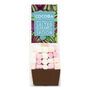 Flavour Discovery Hot Chocolate Gift Set, thumbnail 11 of 12