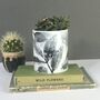 Personalised Leaf Print Ceramic Pot, thumbnail 1 of 11