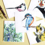 Feathered Friends Pack Of Five Blank Greeting Cards, thumbnail 6 of 7