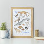 Personalised Animal Alphabet Print Unframed, thumbnail 1 of 12