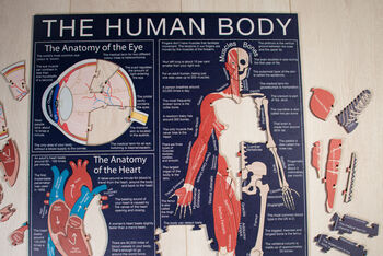 The Human Body Wooden Jigsaw Puzzle, 5 of 8