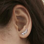 Multi Star Stud Earrings In Silver Or Gold Vermeil, thumbnail 1 of 6