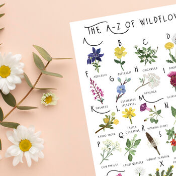 The A To Z Of Wildflowers Print, 5 of 6