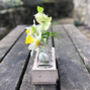 Five Glass Bottle Vases For Buds In A Wood Holder, thumbnail 3 of 3