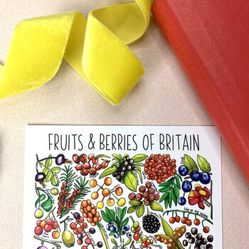 Fruits And Berries Of Britain Watercolour Postcard, 3 of 9