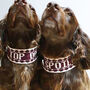 Personalised Knitted Dog Collar, thumbnail 1 of 4