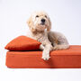 Anti Microbial Memory Foam Dog Bed Mattress And Feather Bolster Pad, thumbnail 8 of 10