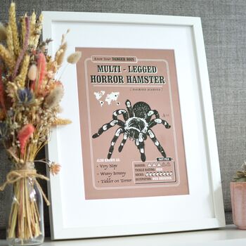 Funny Spider Art Print, Spider Fact File, 4 of 5
