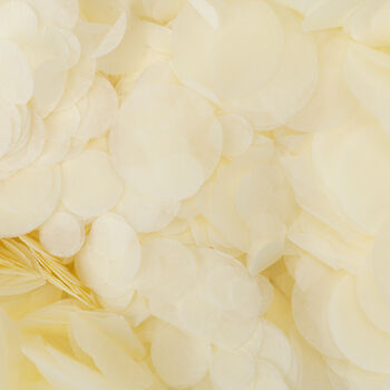 Ivory Wedding Confetti | Biodegradable Paper Confetti, 2 of 6