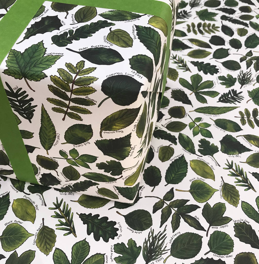 Botanical Leaves Wrapping Paper Set By Alexia Claire