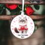 Personalised Ragdoll Cat Love Decoration, thumbnail 2 of 2