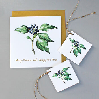 Christmas Card With Ivy Illustration, 3 of 3
