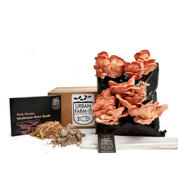 Oyster Mushroom Growing Kit, 8 of 11