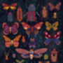 Insect Illustration Print, thumbnail 5 of 5