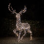 Xl Studley Rattan Stag Dual LED Light Up Reindeer, thumbnail 1 of 3