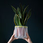 Origami Self Watering Eco Plant Pot: 18cm | Celery Cord, thumbnail 6 of 9