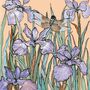 'Dragonfly And Bearded Iris' Print, thumbnail 3 of 3