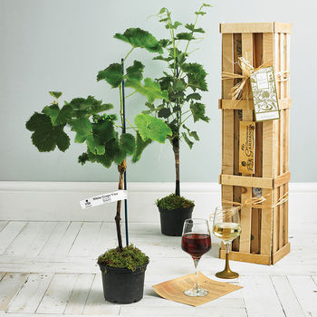 Grapevine Gift Crate, 2 of 11