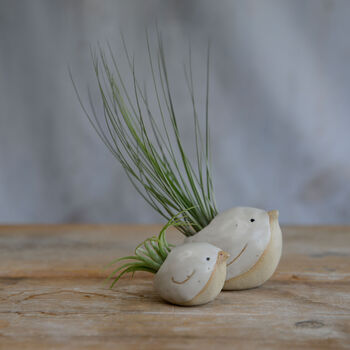 Bird Air Plant Holder In Off White, 6 of 12