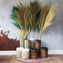 Large Rayung Grass And Natural Vases Bundle Kit, thumbnail 1 of 6