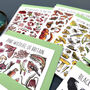 Wildlife Of Britain Greeting Cards Pack Volume Six, thumbnail 2 of 9