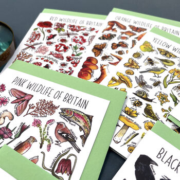 Wildlife Of Britain Greeting Cards Pack Volume Six, 2 of 9