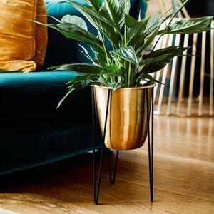 Polished Metal Planter On Stand By The Forest & Co