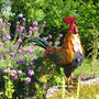 Garden Rooster, thumbnail 3 of 7