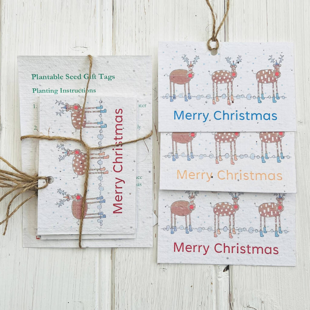 Plantable Christmas Reindeer Seed Card Gift Tags, 1 of 2