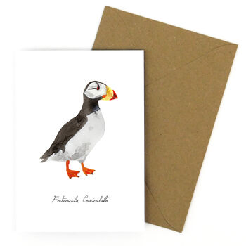 Horned Puffin A6 Greetings Cards, 7 of 7