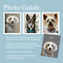 Personalised Pet Print Portrait From Photo, thumbnail 5 of 11
