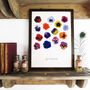 Viola Pansy Art Print, thumbnail 1 of 7