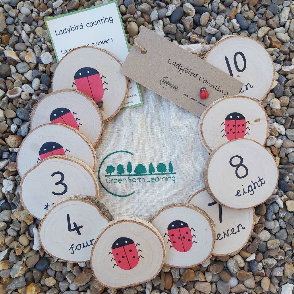 Ladybird Counting Wooden Disc Bag