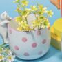 Spotty Peeking Cat Planter, thumbnail 6 of 7
