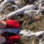 Lifeguard Red Brighton Water Shoes, thumbnail 7 of 7