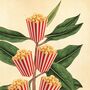 Popcorn Movie Poster Botanical Print, thumbnail 10 of 11