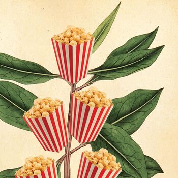 Popcorn Movie Poster Botanical Print, 10 of 11