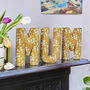 Personalised Liberty London Fabric Letters, thumbnail 1 of 3