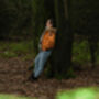 Forest Bathing Experience For One In Kent, thumbnail 3 of 5