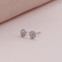 'Best Of Luck' Crystal Four Leaf Clover Earrings, thumbnail 4 of 6