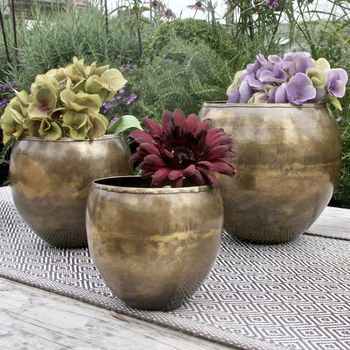 Set Of Three Brass Planters By London Garden Trading ...