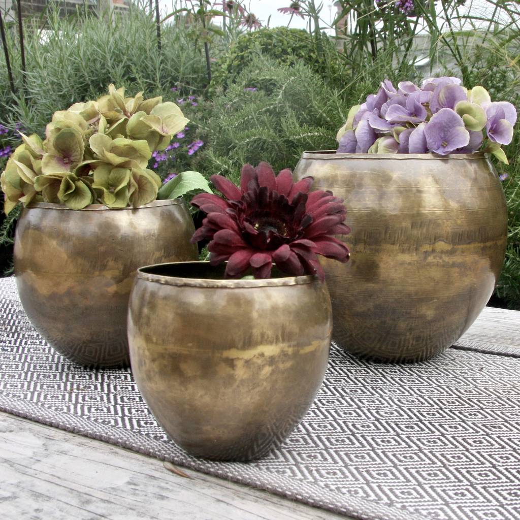 Set Of Three Brass Planters By London Garden Trading