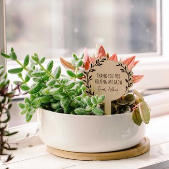 Personalised Thank You For Helping Me Grow Plant Tag, 8 of 8